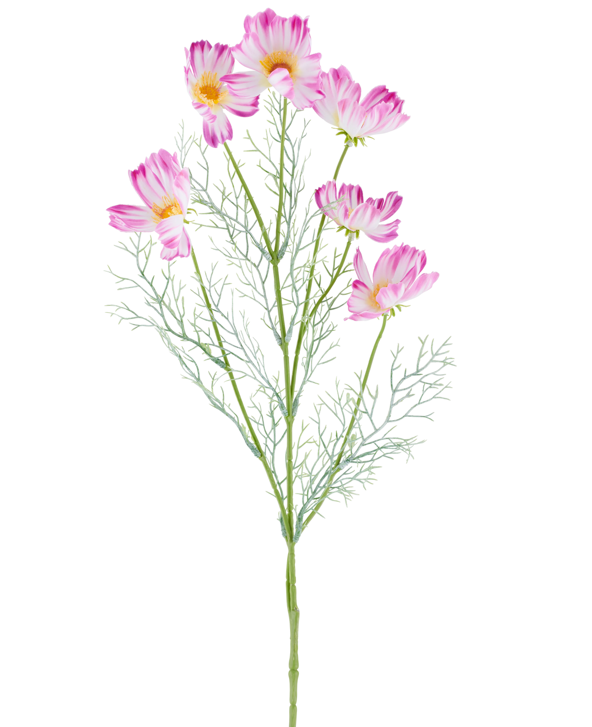 En 78 cm artificiell blomma Cosmo i kräm/rosa, med flera ljusrosa och vita kosmosblommor och fjädergröna blad, avbildad mot en vanlig vit bakgrund.