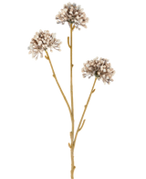 Tre bruna stjälkar av Artificiell Blomma Mini Allium 60 cm kräm/brun sträcker sig uppåt, var och en med en rund klunga av små, subtila krämfärgade och bruna knoppar i slutet mot en vanlig vit bakgrund. Det hela ser minimalistiskt och naturligt ut.