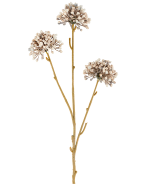 Tre bruna stjälkar av Artificiell Blomma Mini Allium 60 cm kräm/brun sträcker sig uppåt, var och en med en rund klunga av små, subtila krämfärgade och bruna knoppar i slutet mot en vanlig vit bakgrund. Det hela ser minimalistiskt och naturligt ut.