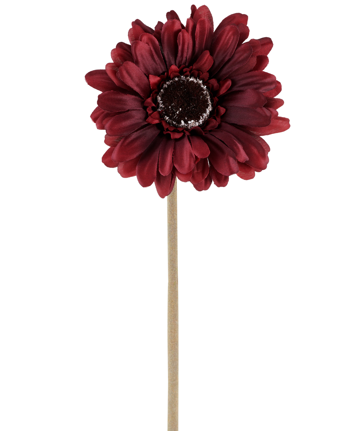 Den konstgjorda blomman Gerbera 53 cm bordeaux består av en konstgjord gerbera i en rik, mörkröd nyans med skiktade kronblad och ett brunt hjärta, fäst vid en lång, rak, ljus stjälk och presenterad mot en vanlig vit bakgrund.