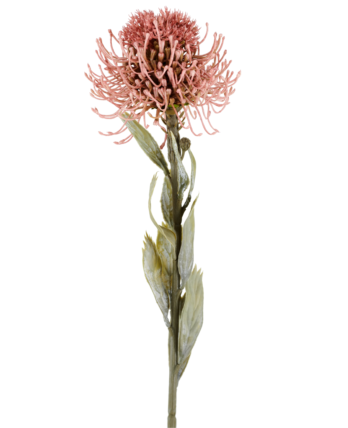 Konstgjord blomma Protea 60 cm gammal rosa med spetsiga rosa kronblad och gröna blad på en lång stjälk, visad mot en vanlig vit bakgrund.