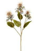 En enda stjälk av konstgjord blomsafflor 57 cm kräm/brun, med tre spetsiga, runda, ljusbruna blommor och några gröna blad, avbildad på vit bakgrund.
