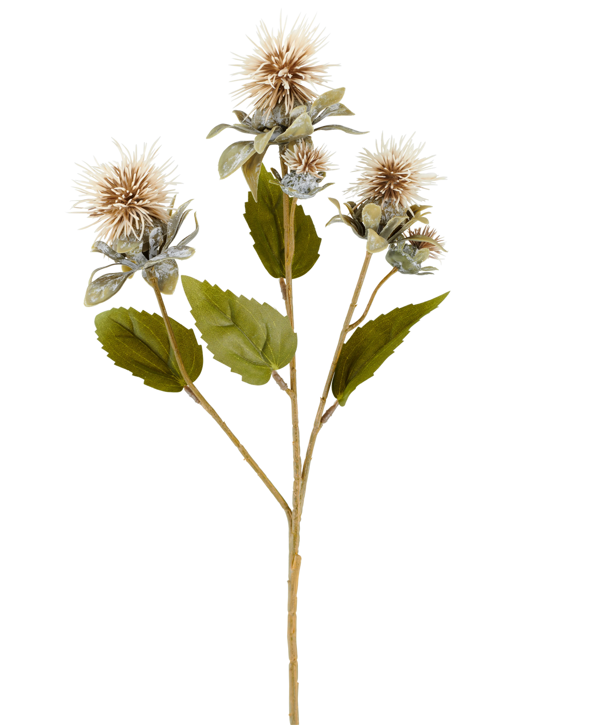 En enda stjälk av konstgjord blomsafflor 57 cm kräm/brun, med tre spetsiga, runda, ljusbruna blommor och några gröna blad, avbildad på vit bakgrund.