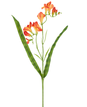 En enda stjälk av artificiell blomma Freesia 56 cm orange, med långa, smala gröna blad och flera orangea fresiablommor i blom i toppen, avbildad mot en vit bakgrund.