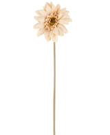 En singel Artificiell Blomma Mini Gerbera i kräm/brunt, med skiktade kronblad och en lång, tunn stjälk på 47 cm, centrerad mot en vit bakgrund.