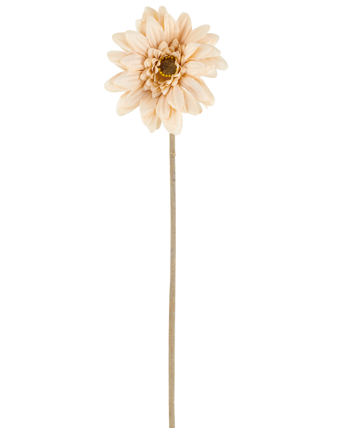 En singel Artificiell Blomma Mini Gerbera i kräm/brunt, med skiktade kronblad och en lång, tunn stjälk på 47 cm, centrerad mot en vit bakgrund.