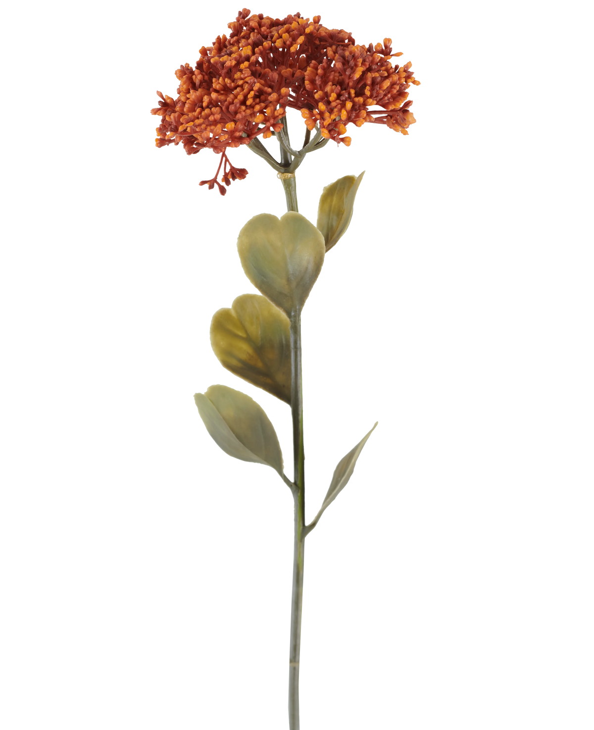 En enda konstgjord Sedum-blomma på 46 cm i vittrad orange, med klasar av små röd-orange blommor och några gröna blad, avbildad på en vit bakgrund.