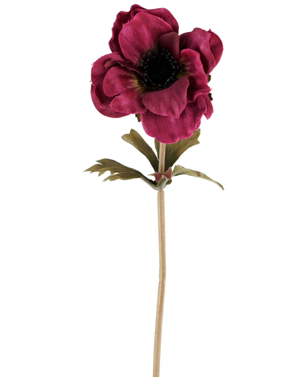 En enda konstgjord anemonblomma på 38 cm i vinröd, med lager av mörkrosa kronblad, ett mörkt hjärta, gröna blad och en lång, smal stjälk, avbildad mot en vanlig vit bakgrund.