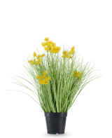 Den konstgjorda gräsrotsblommor Lökgräs är inrymd i en svart plastkruka, med långa, tunna, gräsliknande löv och klasar av små, klargula blommor i spetsarna. Den konstgjorda växten är 50 cm hög, brandhämmande och står mot en vanlig vit bakgrund.