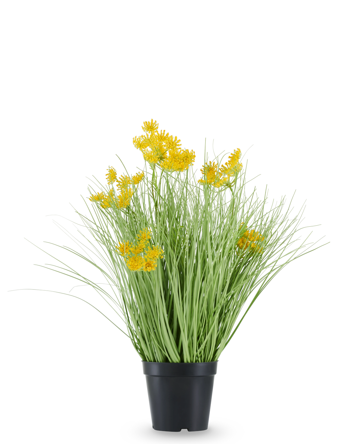 Den konstgjorda gräsrotsblommor Lökgräs är inrymd i en svart plastkruka, med långa, tunna, gräsliknande löv och klasar av små, klargula blommor i spetsarna. Den konstgjorda växten är 50 cm hög, brandhämmande och står mot en vanlig vit bakgrund.