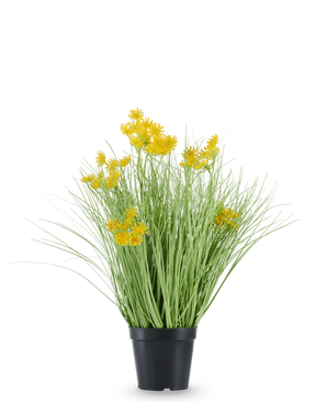 Den konstgjorda gräsrotsblommor Lökgräs är inrymd i en svart plastkruka, med långa, tunna, gräsliknande löv och klasar av små, klargula blommor i spetsarna. Den konstgjorda växten är 50 cm hög, brandhämmande och står mot en vanlig vit bakgrund.