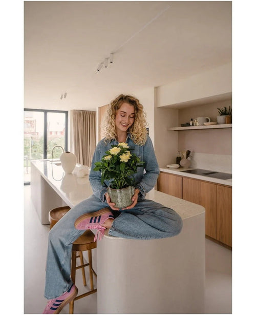 En kvinna med lockigt blont hår, iklädd jeans och randiga strumpor, sitter leende på köksbänken medan hon håller i Artificiell Gardenia UV 39 cm-växt – en krukväxt med gula blommor. I bakgrunden syns ett modernt kök med träskåp och hyllor.