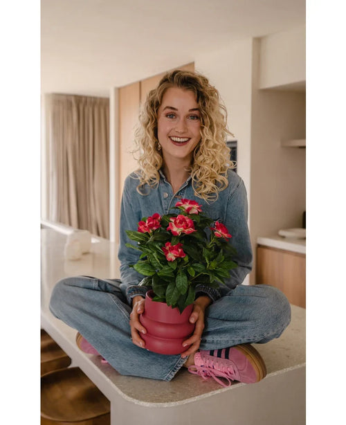 En leende kvinna med lockigt blont hår sitter i kors på en köksbänk och håller i en 39 cm Artificiell Gardenia UV-växt i fuchsia. Hon har på sig en jeansoutfit och rosa sneakers.