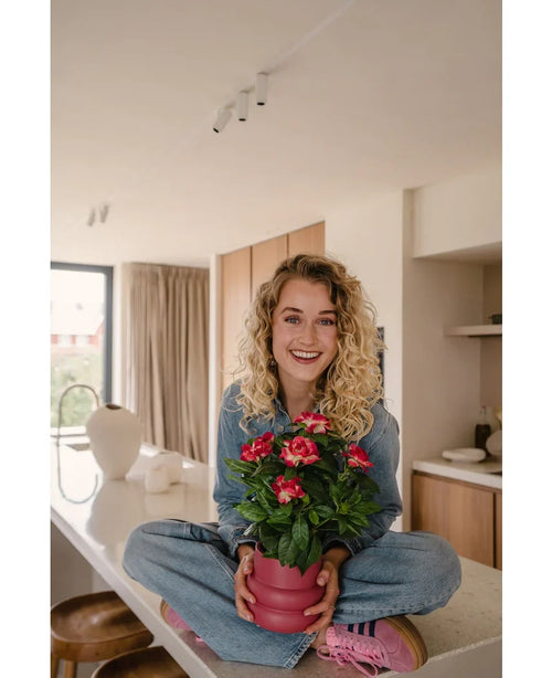 En leende kvinna med lockigt blont hår sitter i kors på en ljus, modern bänkskiva och håller i Artificiell Gardenia UV 39 cm fuchsiaväxt – en rosa krukväxt med livfulla röda blommor. Hon är klädd i jeans, blå skjorta och rosa skor.