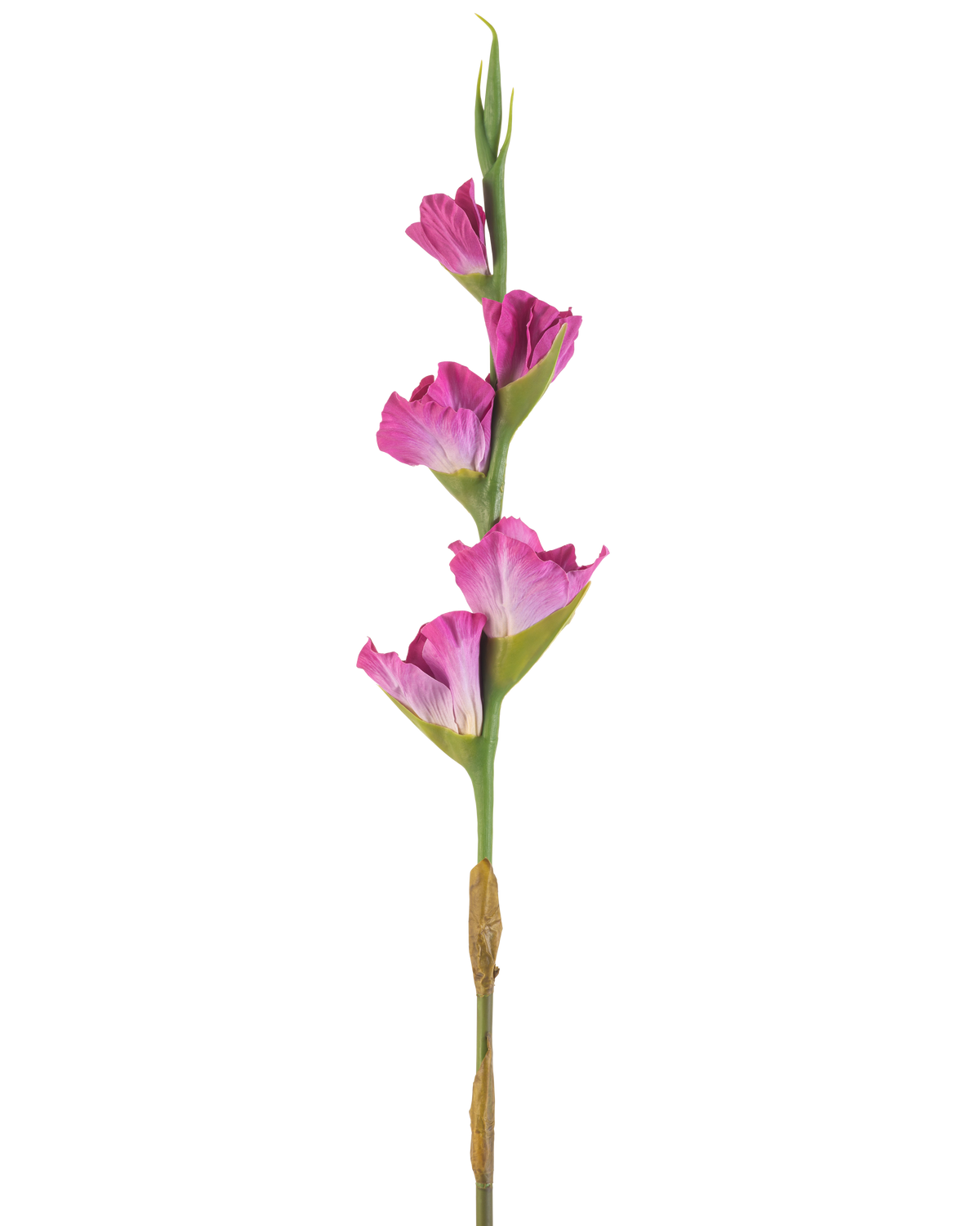 En enda stjälk av Artificiell Blomma Gladiolus 83 cm fuchsia har fyra livfulla rosa blommor på en grön stjälk, mot en vanlig vit bakgrund.