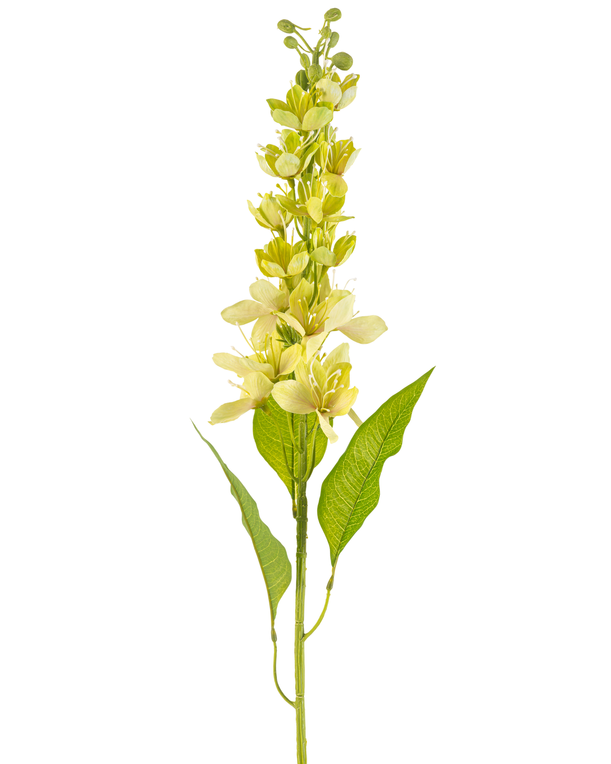 Det konstgjorda asiatiska äpplet 84 cm grönt har en enda hög stjälk med flera ljusgula blommor och långsträckta gröna blad, avbildade mot en vit bakgrund.