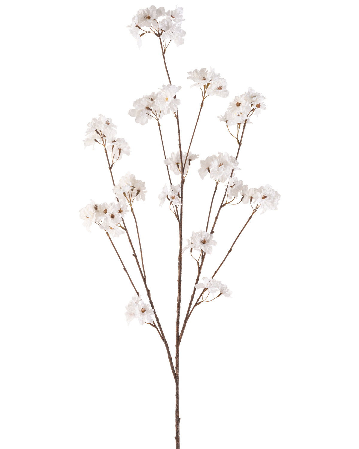 Krämen Artificiell Blomma Körsbärsblommor 130 cm har en enda brun stjälk som förgrenar sig i flera tunna stjälkar, var och en dekorerad med klasar av små, delikata gräddfärgade körsbärsblommor mot en vanlig vit bakgrund.