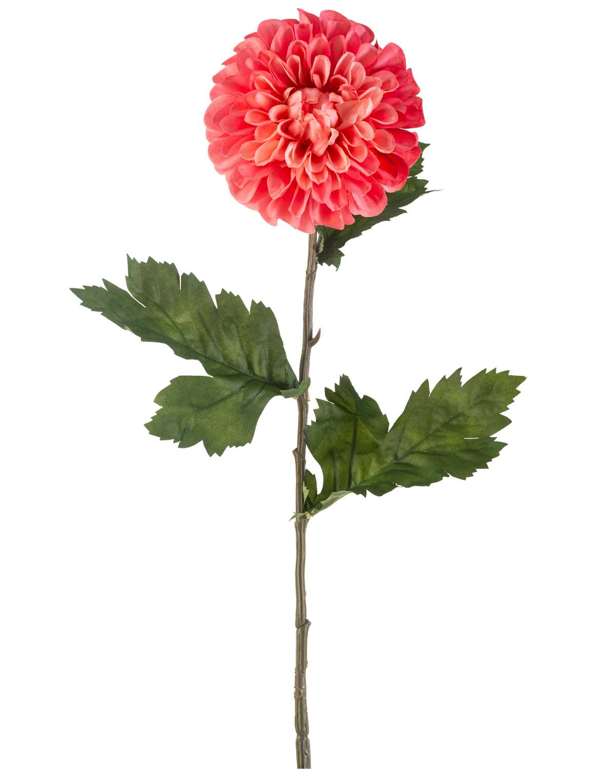 Den konstgjorda blomman Dahlia 75 cm röd är en enda konstgjord röd dahliablomma med skiktade kronblad och flera gröna blad på en lång grön stjälk, isolerad på en vit bakgrund.