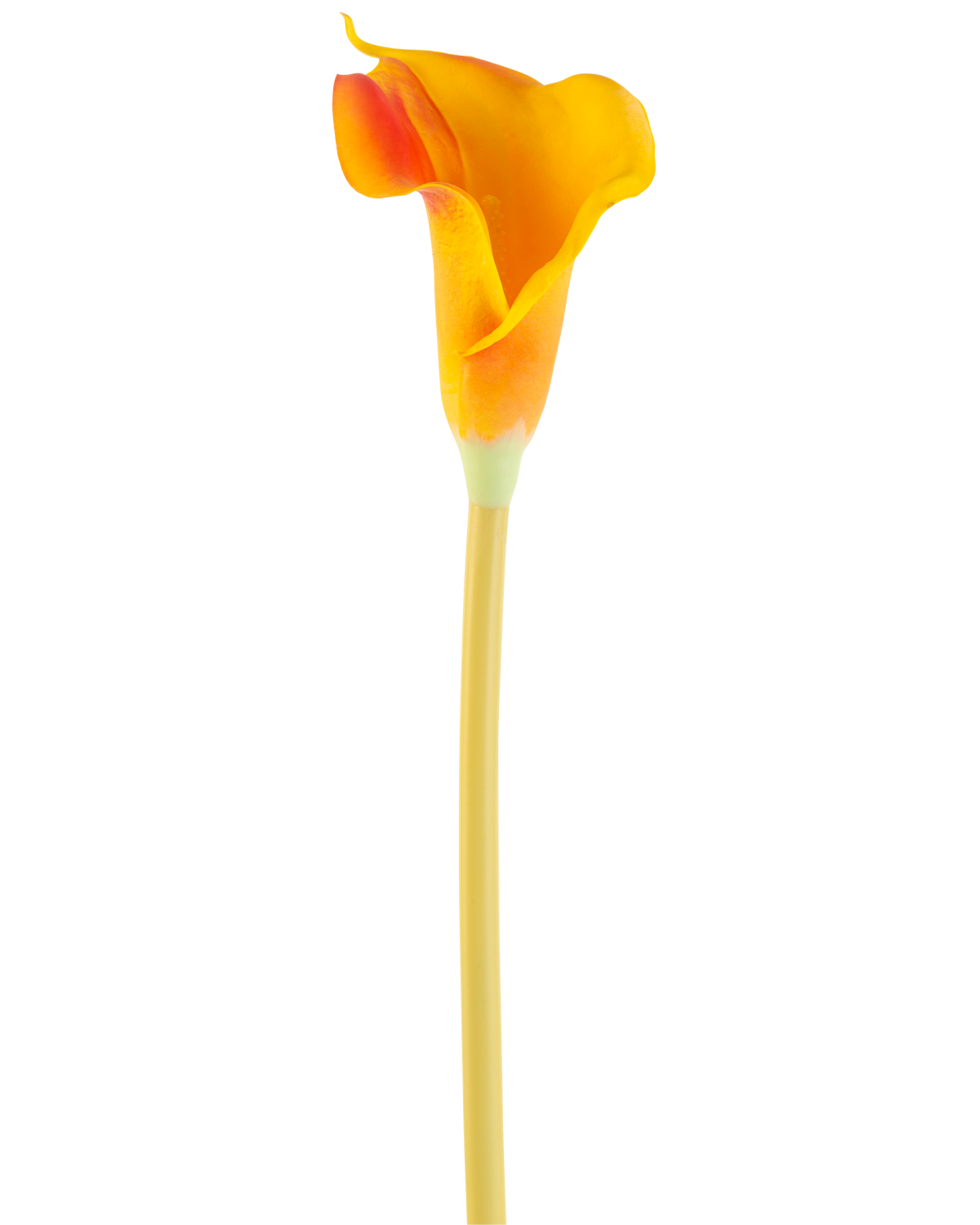 Den konstgjorda blomman Calla 64 cm orange har en enda orange calla lilja med en lång, smal stjälk, isolerad på en vit bakgrund.
