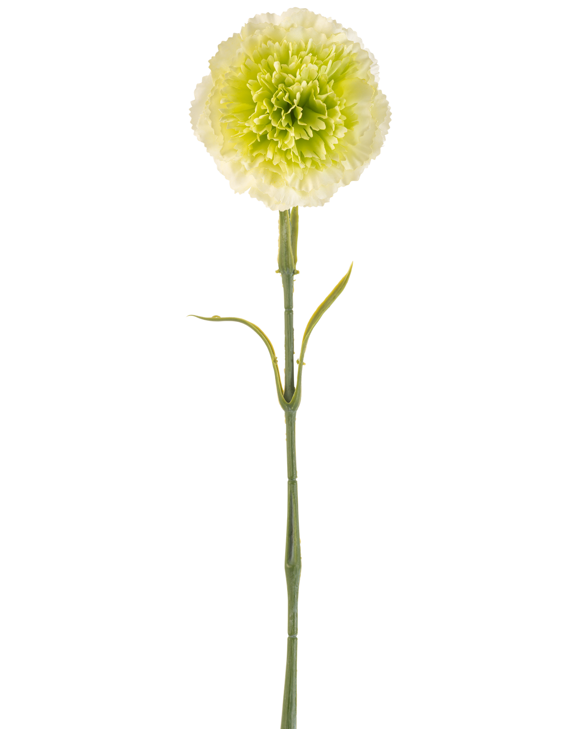 Den konstgjorda blomsternejlikan 57 cm ljusgrön är en konstgjord ljusgrön nejlika med volanger i kronbladen och en lång stjälk, avbildad mot en vanlig vit bakgrund.