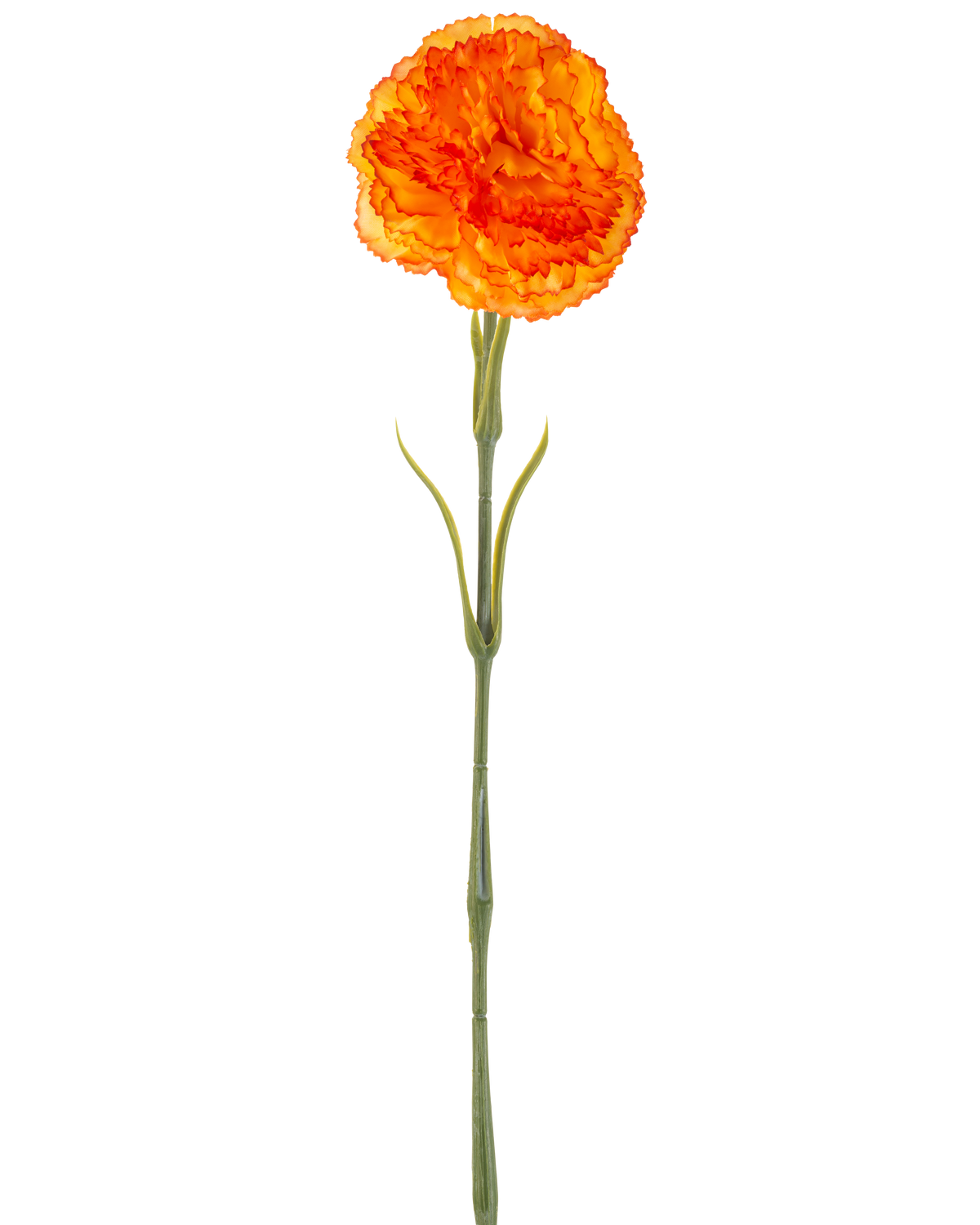 Den konstgjorda blomma nejlikan 57 cm orange är en konstgjord orange nejlika med volanger i kronbladen och en lång grön stjälk, isolerad på en vit bakgrund.
