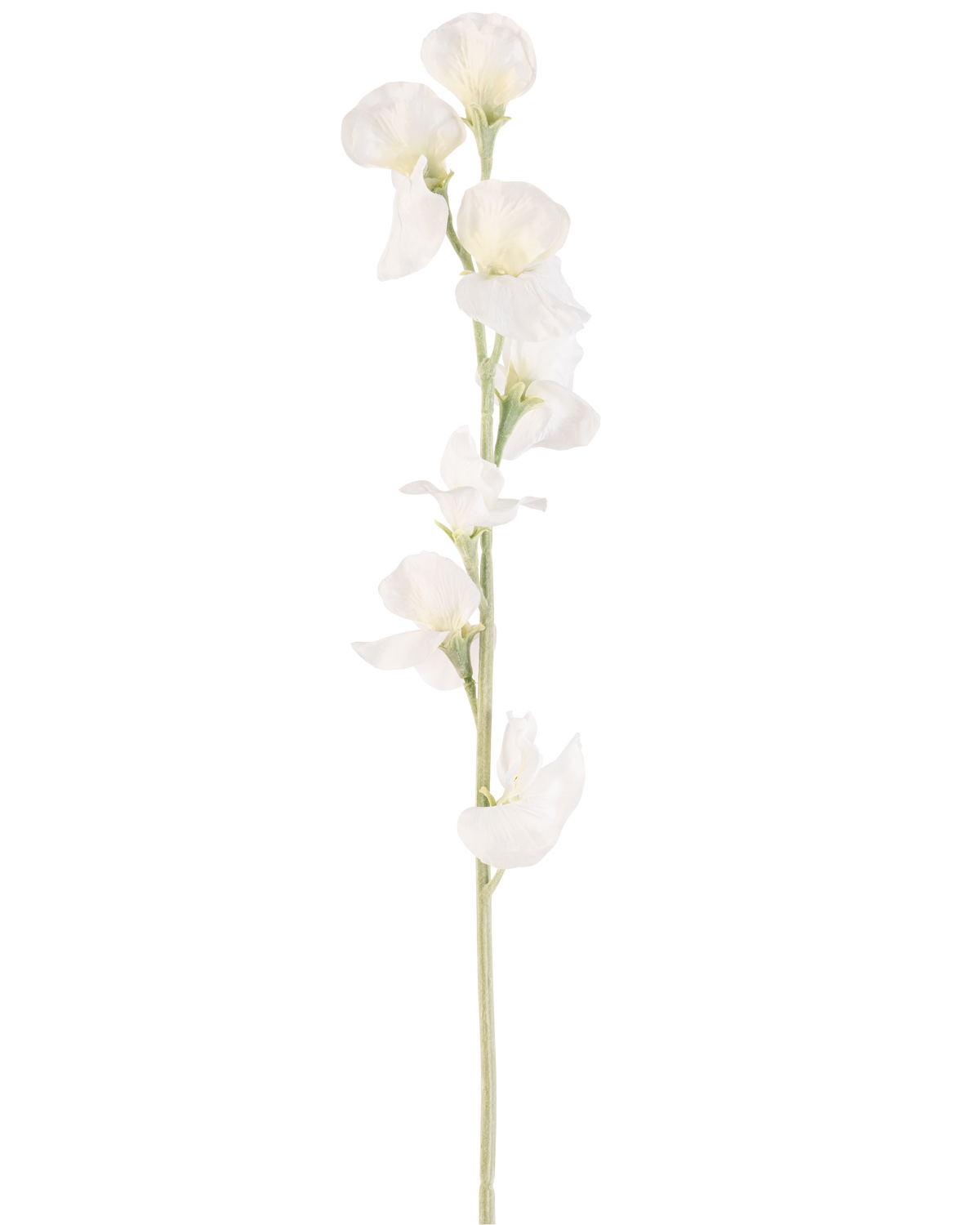 En enda artificiell blomärta 64 cm kräm har flera fina krämvita blommor på ljusgröna stjälkar, mot en vanlig vit bakgrund.
