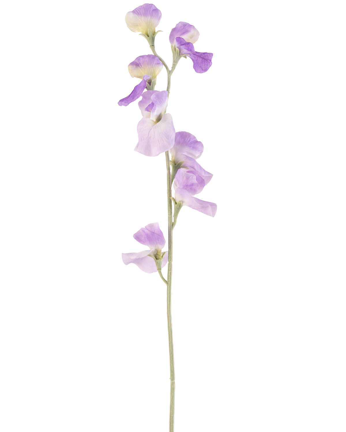 En enda konstgjord blomärta 64 cm lila med känsliga ljuslila kronblad och gröna blad, isolerad på en vit bakgrund.
