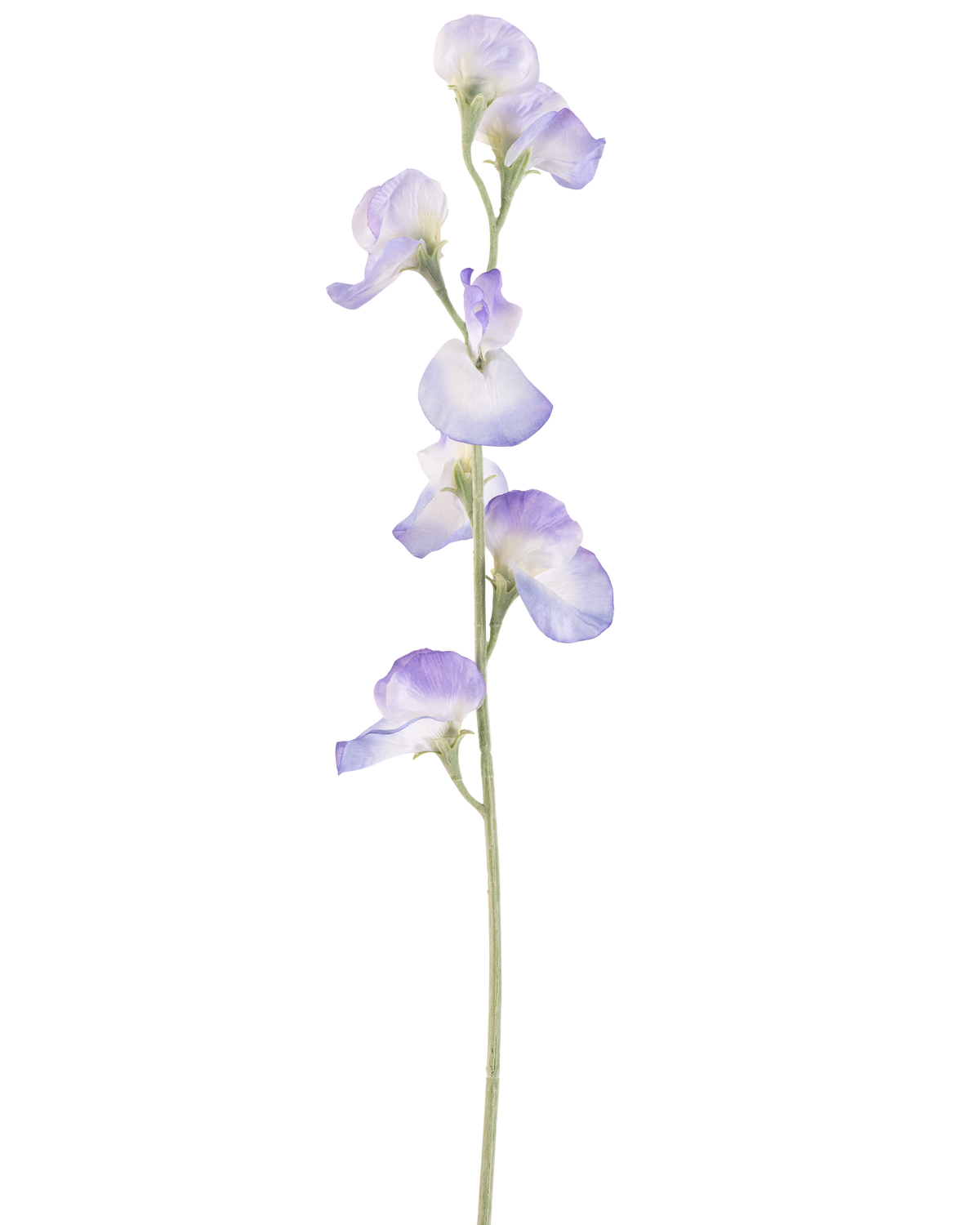 En enda konstgjord ärtblomma 64 cm lavendel, med flera fina ljuslila blommor och gröna stjälkar, isolerad på en vit bakgrund.