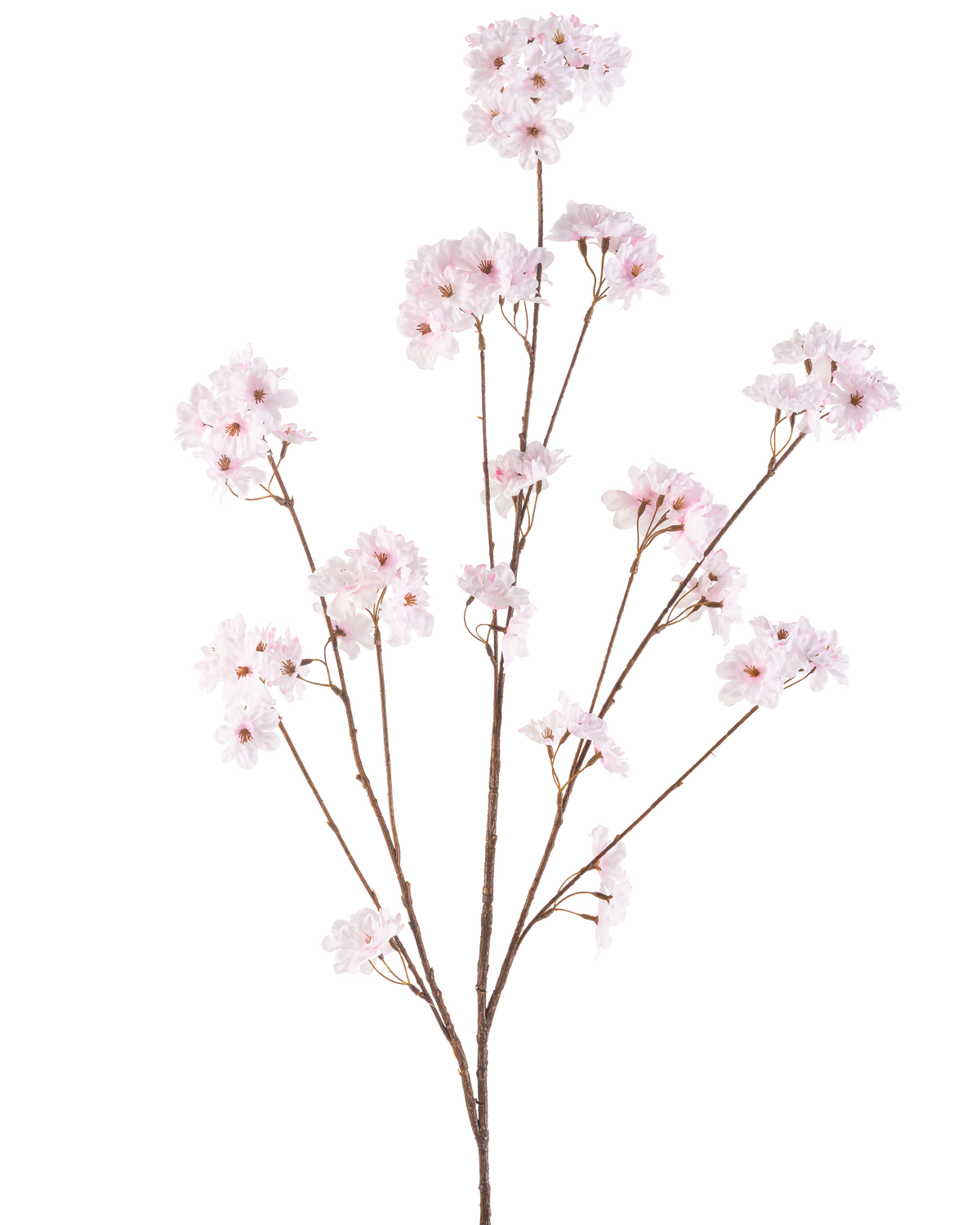 Konstgjorda blommor körsbärsblommor 130 cm ljusrosa har flera tunna stjälkar med klasar av känsliga ljusrosa körsbärsblommor, vackert arrangerade och isolerade på en vit bakgrund.