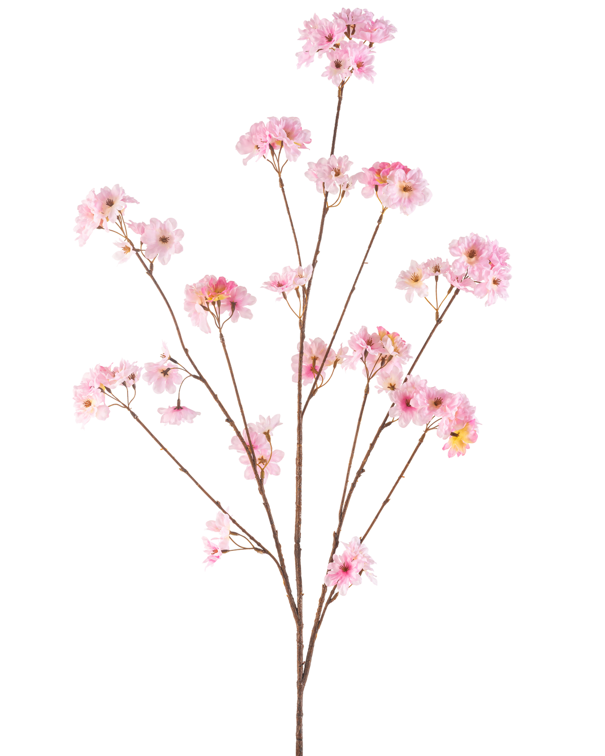Den konstgjorda blommor körsbärsblommor 130 cm rosa har en enda brun stjälk som förgrenar sig till klasar av känsliga rosa körsbärsblommor, vackra mot en vanlig vit bakgrund.