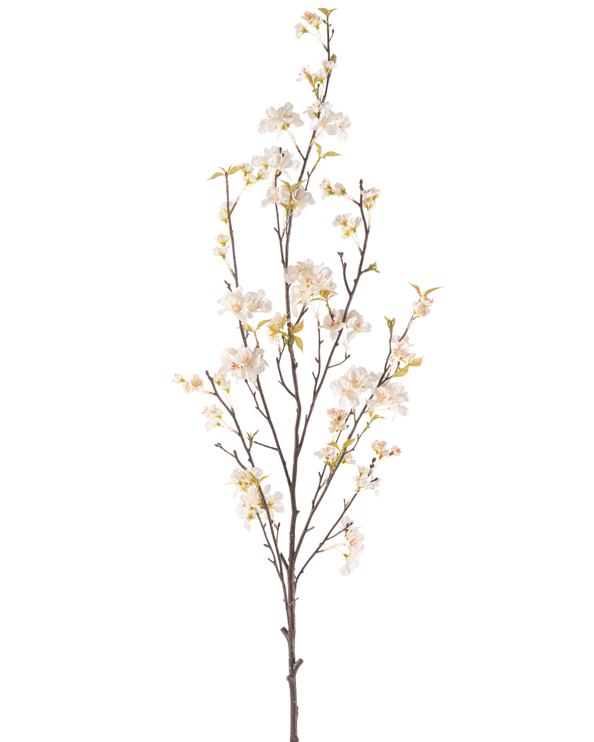 Krämen Artificiell Blomma Cherry Blossom 150 cm har en hög gren med flera tunna stjälkar, små vita körsbärsblommor och spridda gröna blad, allt mot en vanlig vit bakgrund.