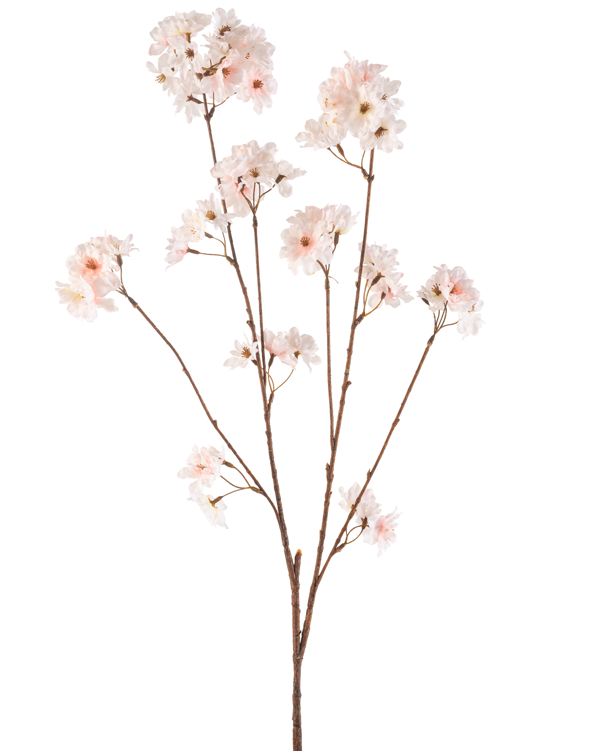 Körsbärsblomman med konstgjorda blommor 114 cm har en enda brun stjälk med flera grenar toppad med ömtåliga, rodnande rosa körsbärsblommor, vackert isolerade på en vit bakgrund.