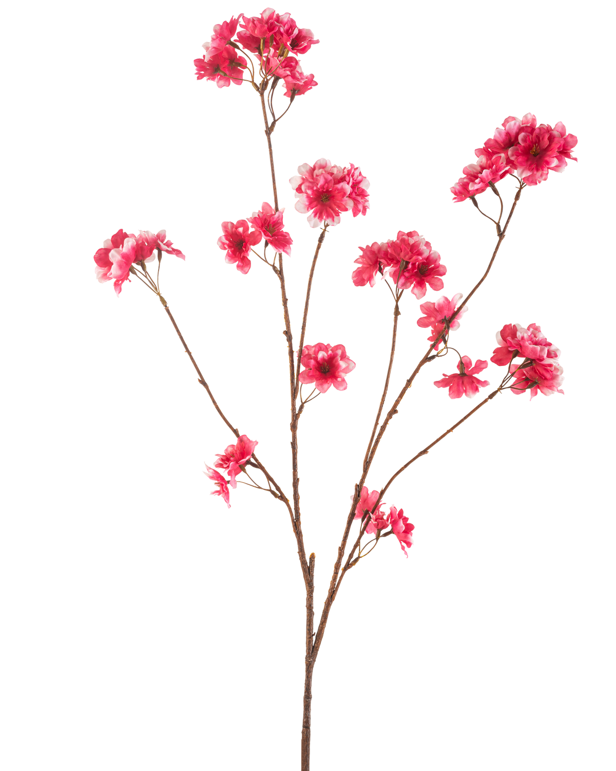 Den konstgjorda blommor körsbärsblommor 114 cm fuchsia visar en enda brun gren med flera stjälkar, var och en med klasar av levande fuchsia konstgjorda julblommor mot en vanlig vit bakgrund.