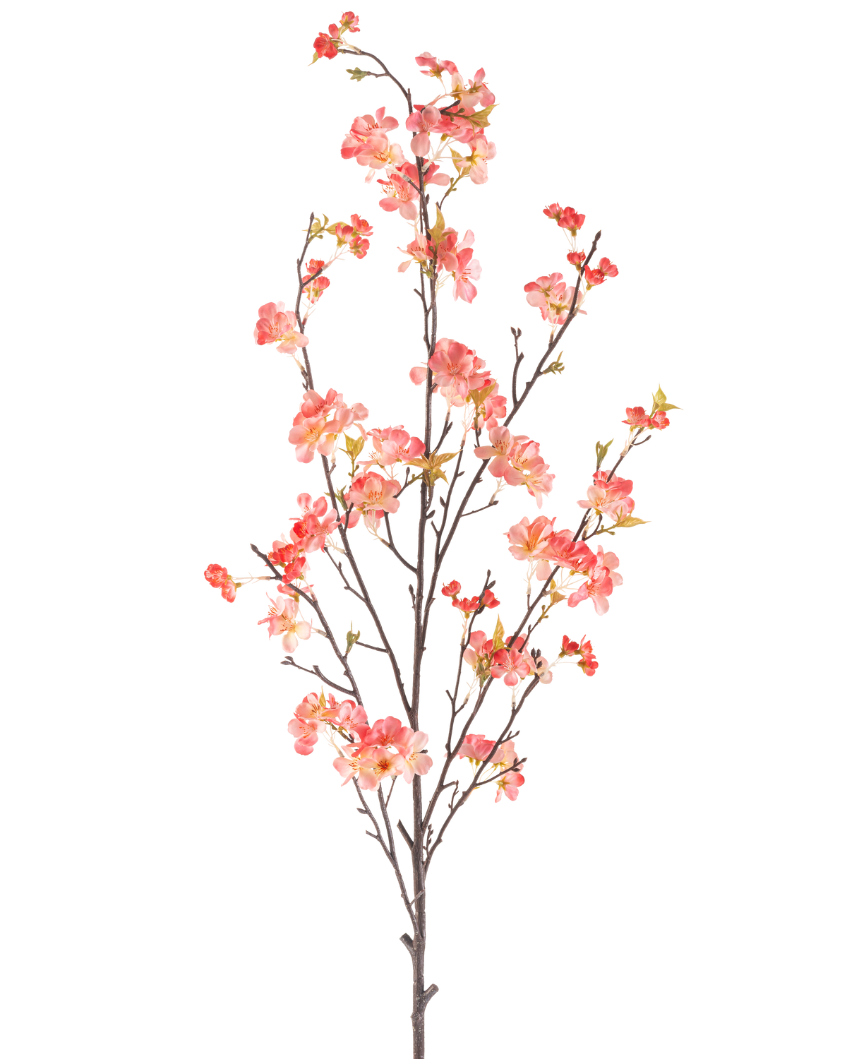 Den konstgjorda blomman körsbärsblommor 150 cm persika har en enda hög gren med flera tunna stjälkar, dekorerad med klasar av små rosa och röda blommor och några gröna blad, mot en vanlig vit bakgrund.