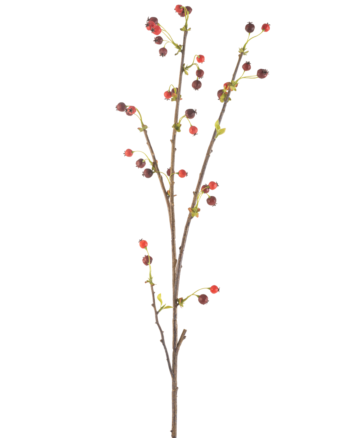 Konstblomma Nypon 112 cm röd har en enda brun gren med små röda och mörklila bär och några ljusgröna blad, mot en vanlig vit bakgrund.