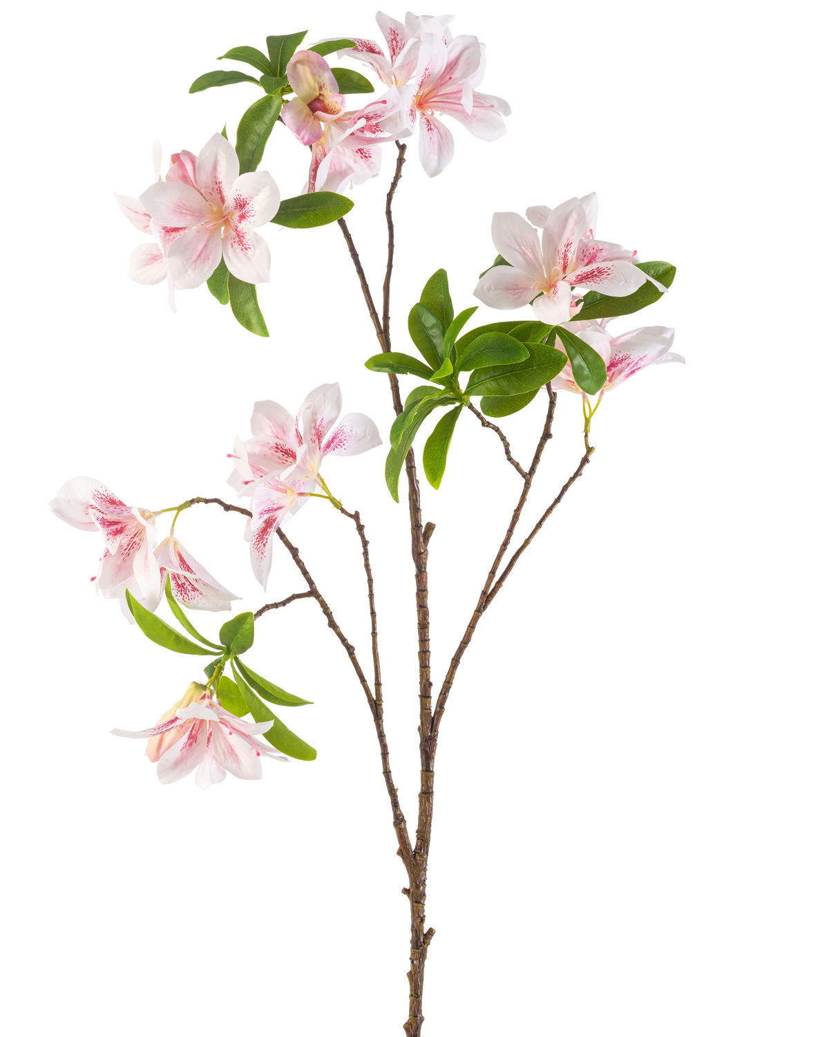 Den konstgjorda blomman Begonia 99 cm rouge har en enda gren med flera blommande rosa och vita begoniablommor och knippen av gröna blad mot en vit bakgrund.