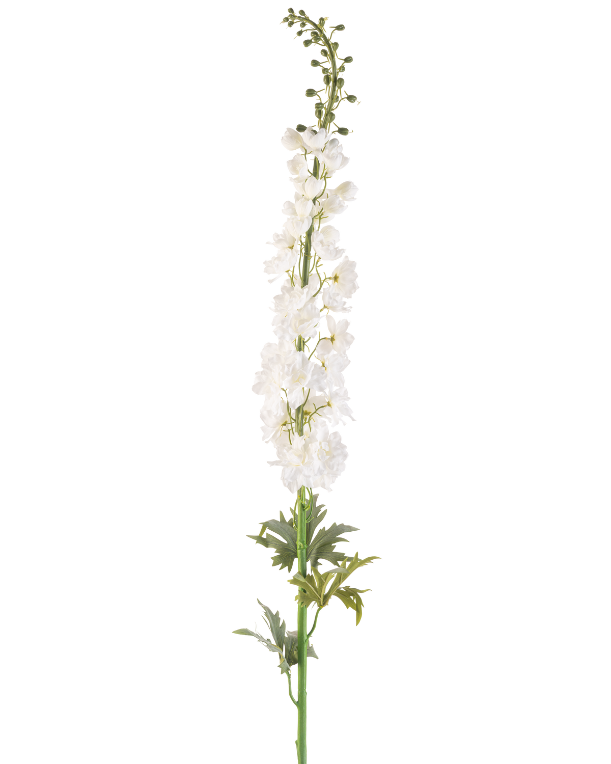 Den konstgjorda blomman Larkspur 137 cm vit är en hög konstgjord sporre stam med flera små vita blommor längs sin längd och gröna blad vid basen, mot en vanlig vit bakgrund.