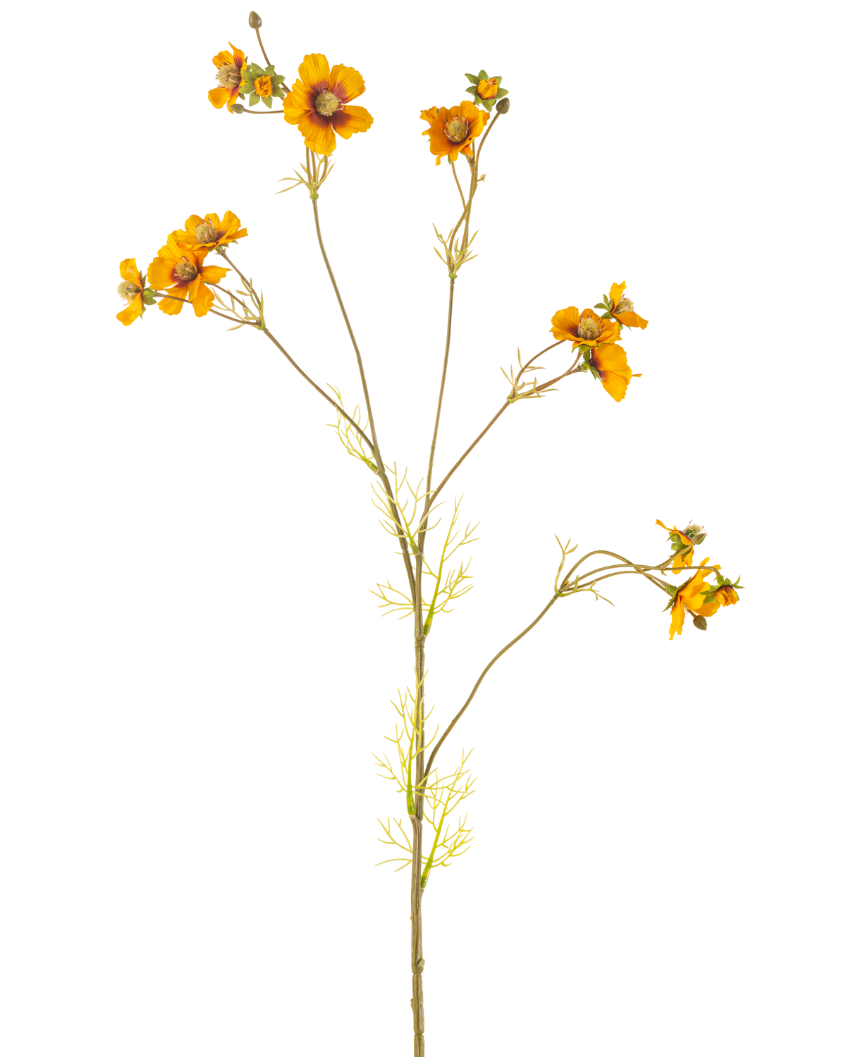 Den konstgjorda blomman Cosmos 95 cm gul har en enda hög stjälk med tunna grenar, var och en dekorerad med klasar av ljusa orange-gula blommor och ömtåliga gröna blad, mot en vanlig vit bakgrund.