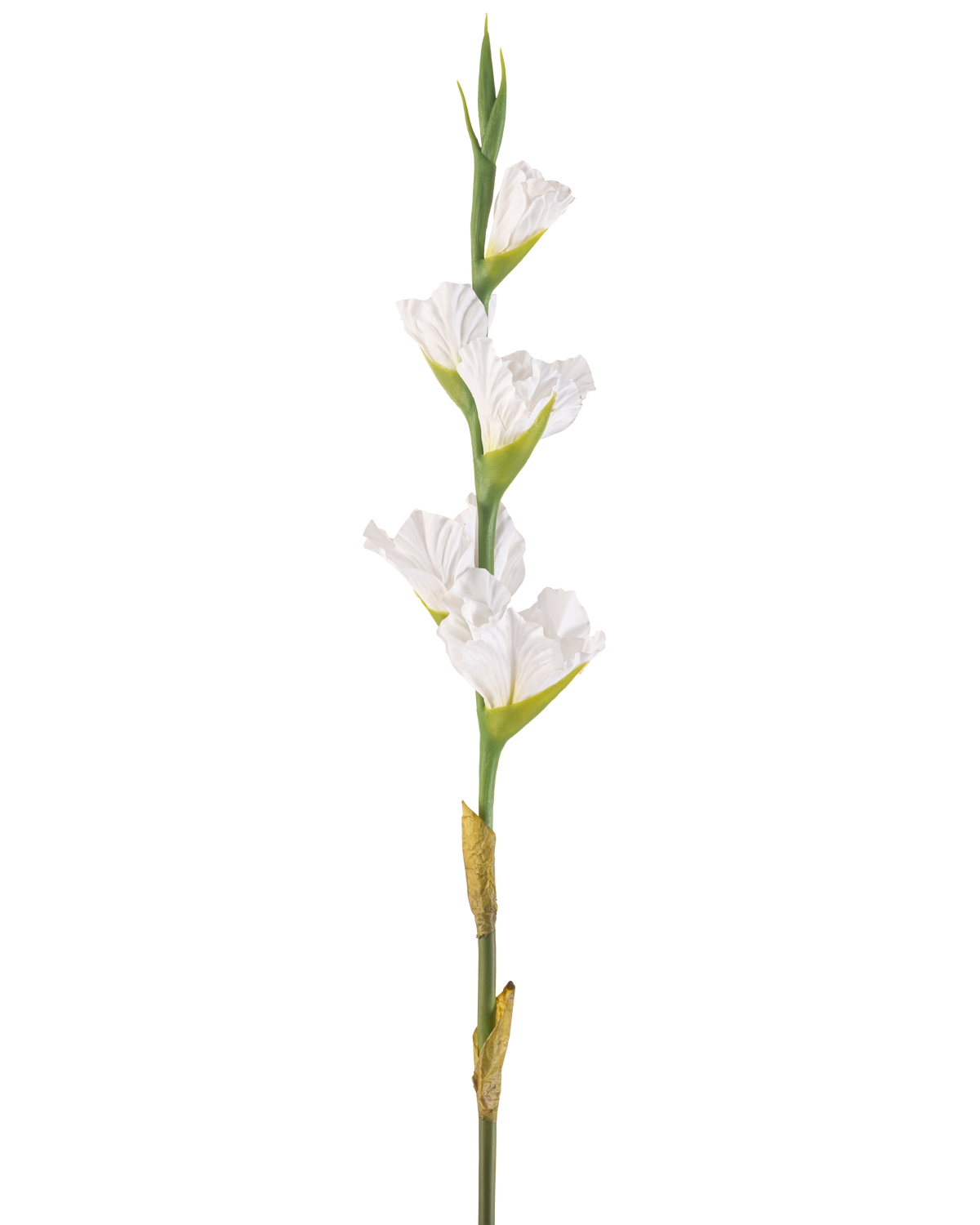Den konstgjorda blomman Gladiolus 83 cm vit är en enda konstgjord vit gladiolustjälk med flera blommor och gröna knoppar, som står upprätt mot en vanlig vit bakgrund.