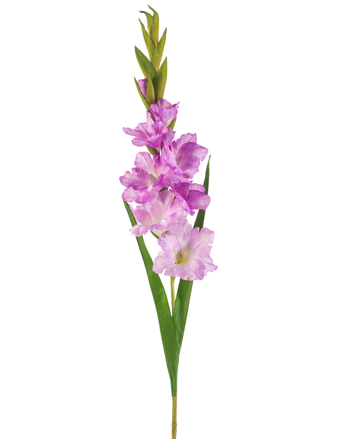 En enda artificiell blomma Gladiolus stjälk på 93 cm med flera rosa och ljuslila blommor med långa gröna blad, isolerade på en vit bakgrund.