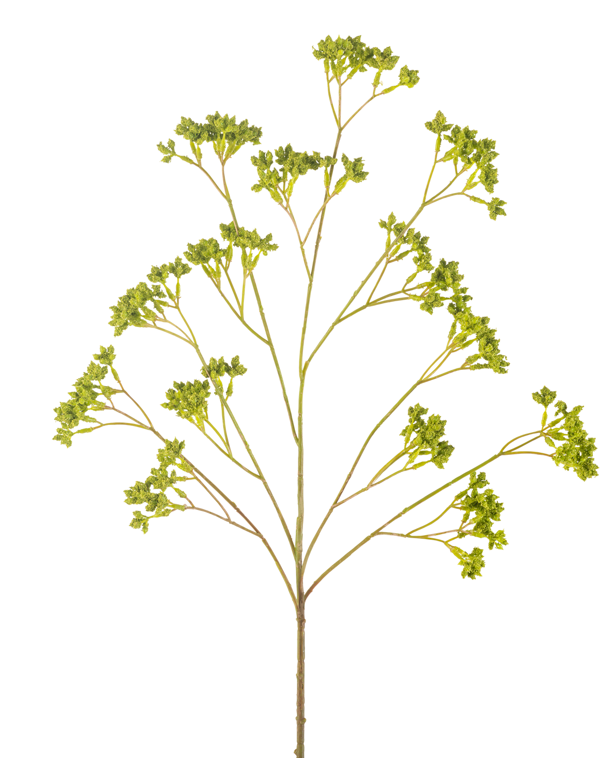 Frölådan med artificiell gren 80 cm grön har en enda grenad stam med flera klasar av små gröna blad, alla arrangerade symmetriskt mot en vit bakgrund.