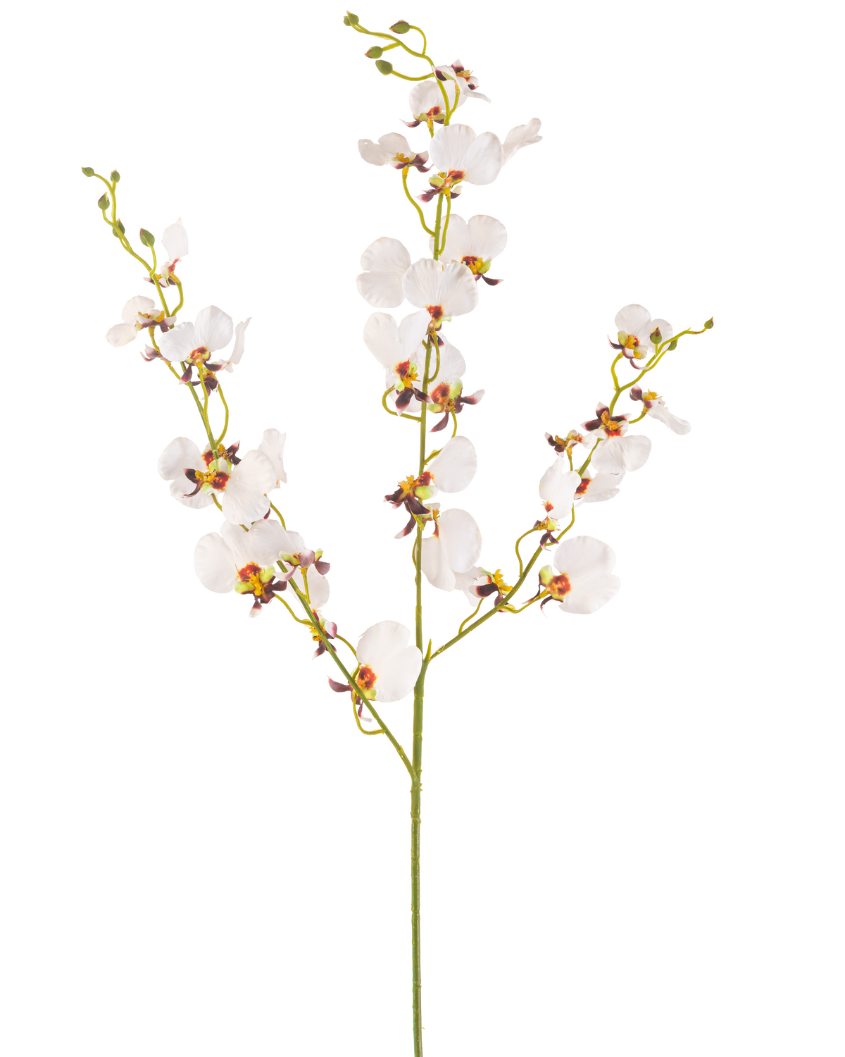 The Artificial Flower Orchid 98 cm krämen är en enda artificiell krämorkidéstjälk med flera fina blommor och flera knoppar, med gula och lila mittpunkter, isolerad på en vanlig vit bakgrund.