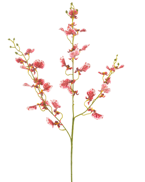 En enda röd konstgjord blomsterorkidé 98 cm med flera grenar, var och en med klasar av livfulla blommor, mot en vanlig vit bakgrund.