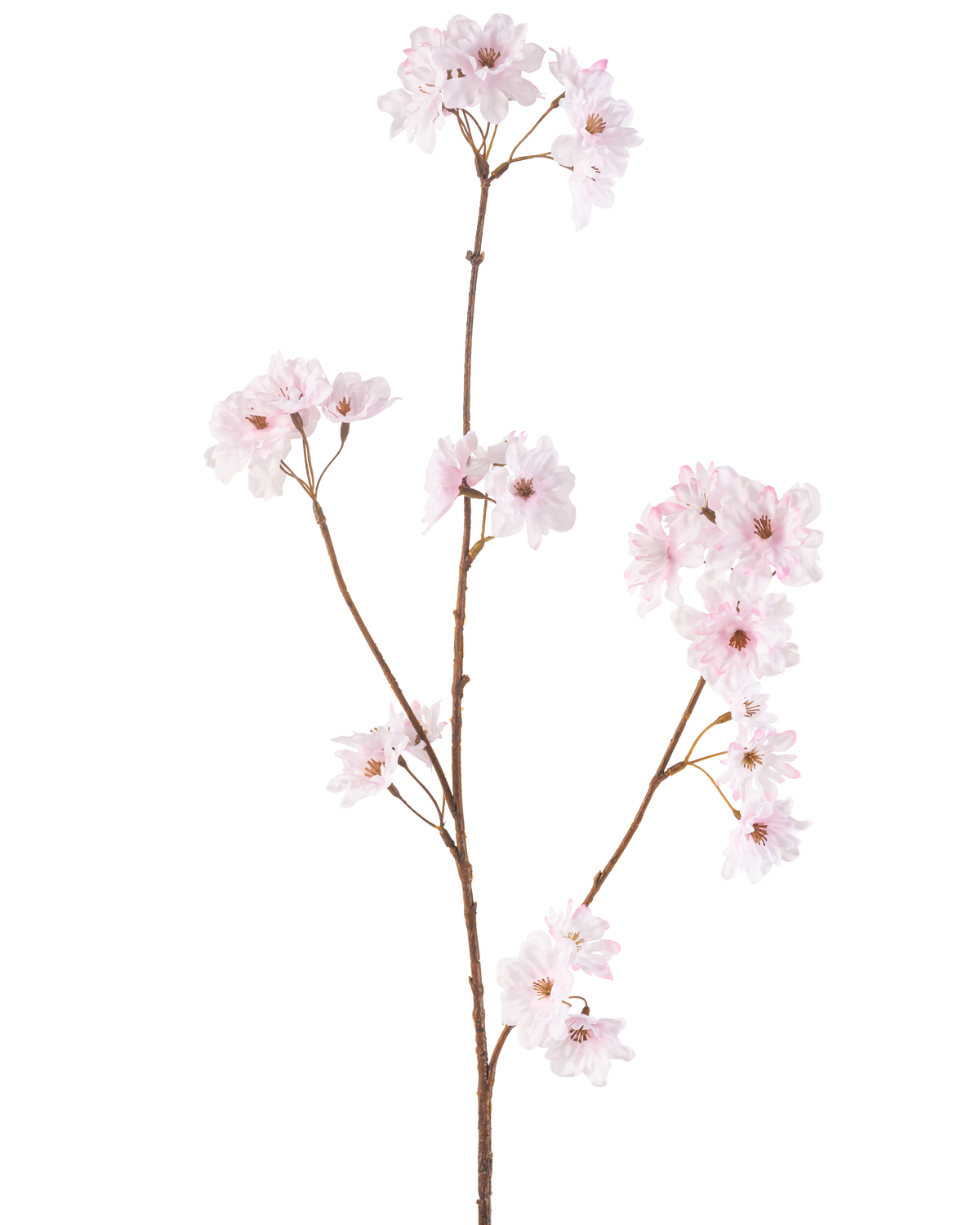 Den konstgjorda blomman körsbärsblommor 85 cm ljusrosa har en enda smal brun stjälk med klasar av känsliga ljusrosa körsbärsblommor, vackert isolerade på en vit bakgrund.