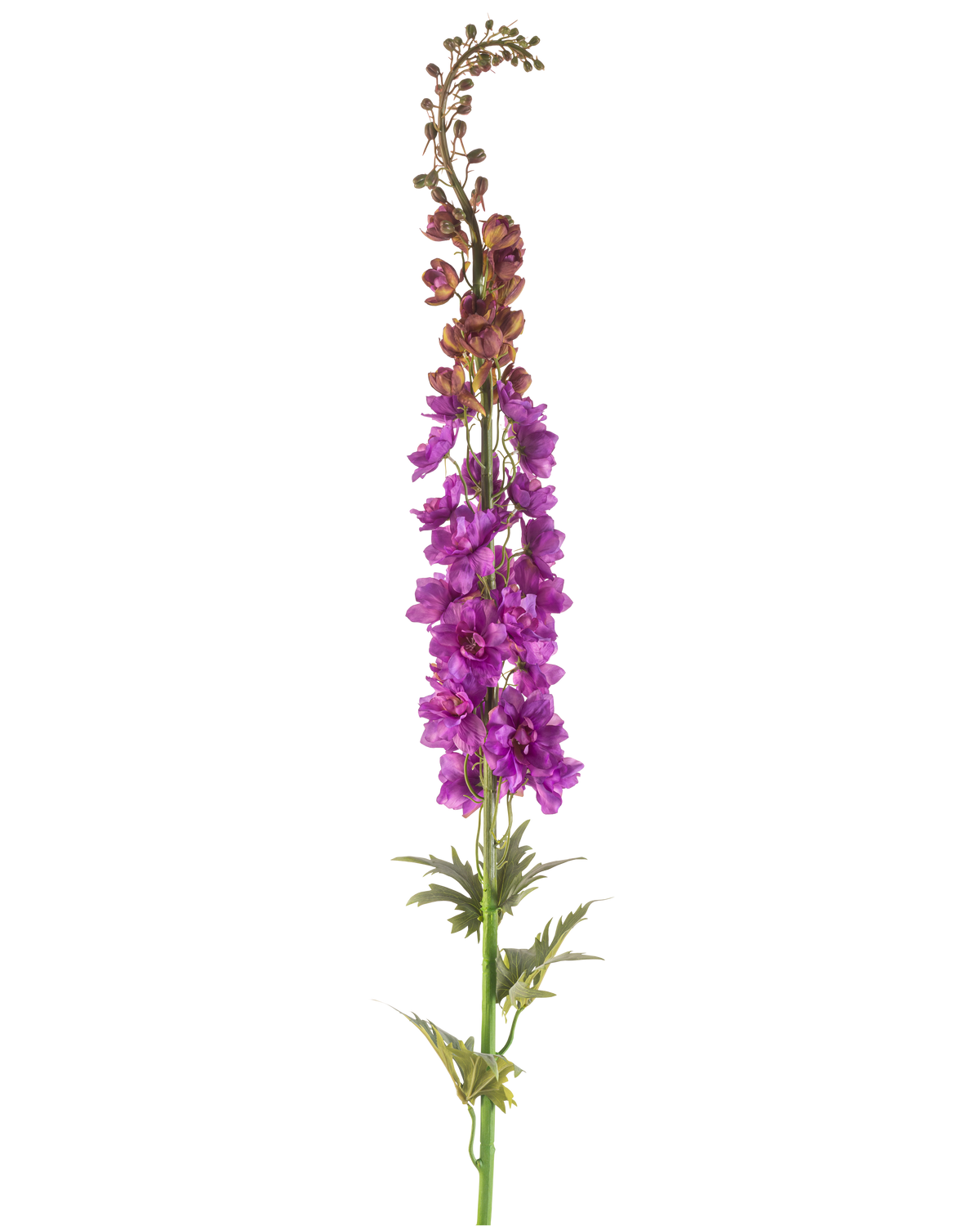Den konstgjorda blomman Larkspur 137 cm lila har en hög grön stjälk med djupt flikiga blad och klasar av livfulla lila blommor längs toppen, mot en vit bakgrund.
