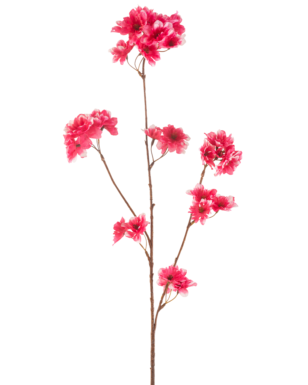 Den konstgjorda Körsbärsblomman 85 cm fuchsia har en enda brun stjälk med flera grenar, var och en dekorerad med kluster av levande fuchsia konstgjorda körsbärsblommor, mot en vanlig vit bakgrund.