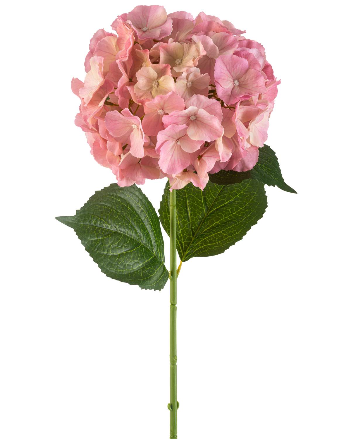 Den konstgjorda blomman hortensia 75 cm rosa har en enda rosa hortensia blomma med fina kronblad och två stora gröna blad på en lång grön stjälk, mot en vit bakgrund.