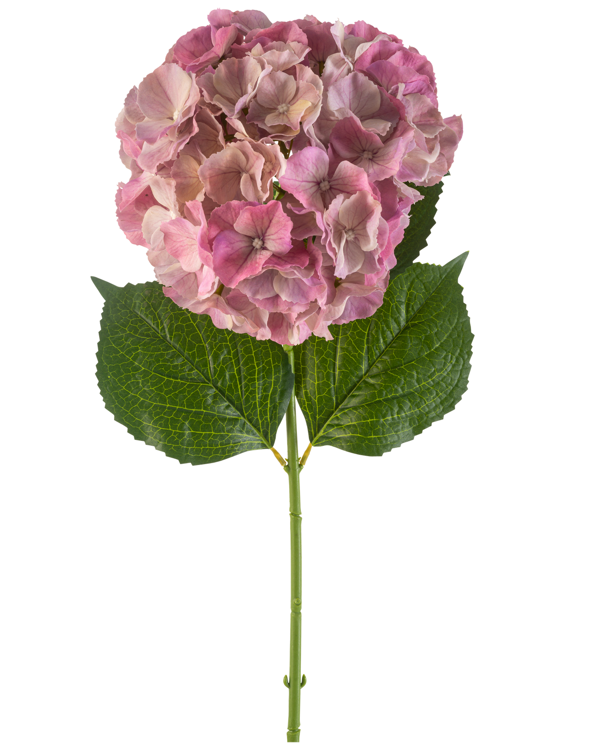Artificiell blomhortensia 75 cm lila har en enda lila hortensiablomma med gröna blad på en lång stjälk, mot en vit bakgrund.