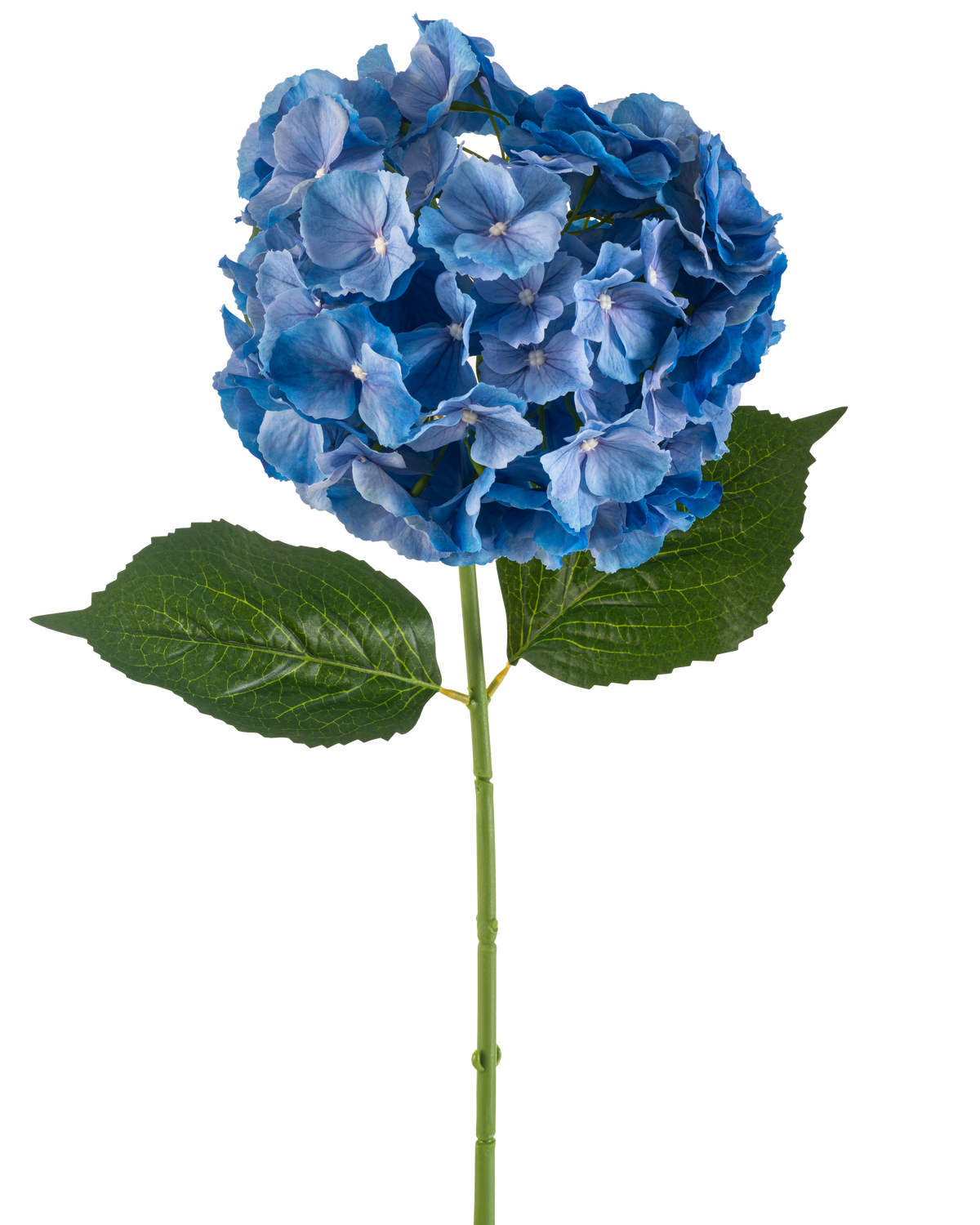 Den konstgjorda blommor hortensia 75 cm blå har en enda blå hortensia stjälk med en rund klase av kronblad och två stora gröna blad på en vanlig vit bakgrund.