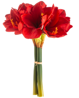 De Kunstbloem Amaryllis Real Touch rood 36 cm heeft levendige rode amaryllisbloemen met groene stelen, samengebonden met een elastiekje, tegen een effen witte achtergrond.